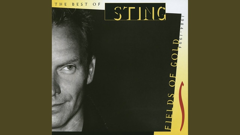 Why should i cry for you. Why should i cry for you стинг перевод. Why should i cry for you. Sting the soul cages 1991 cover. Why should i cry for you.