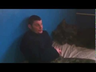 Пленный украинский солдат: “Оказалось, мы воюем со своими собратьями“