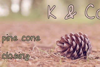 Как закрывается сосновая шишка | Pine cone closing