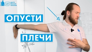 Поднятые плечи. Как расслабить перенапряженные мышцы Комплекс упражнений