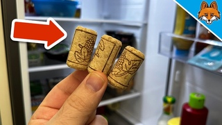 Put 1 Cork in the Fridge and WATCH WHAT HAPPENS(Genius Trick)
