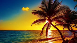 Beautiful Relaxing Peaceful Music, Calm Music 24/7, Tropical Shores By Tim Janis