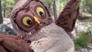 Mr Owl and His Picnic (Episode 6), Simple Stories for Kids