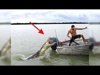 ЖЕСТЬ НА РЫБАЛКЕ!!! (страшно )Топ пять случаев жести на рыбалке  ...
