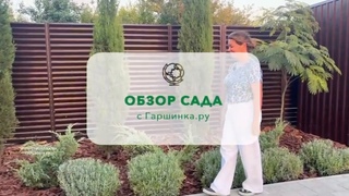 ОБЗОР САДА С ГАРШИНКА.РУ! В гостях у Аллы, город Севастополь, Крым #дача #сад