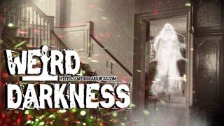“TRUE TALES OF CHRISTMAS GHOSTS” Real Stories of #HolidayHorrors! #WeirdDarkness