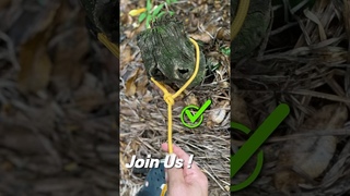 Join Us !  #camping #rope #knot #skills