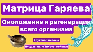 Матрица горяева исцеление всего организма. Духовный и матричный близнец. Исцеляющие матрицы петра гаряева. Матрица гаряева исцеление всего организма и регенерация. Матрица гаряева исцеляющая всего организма.