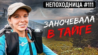 ПОХОД НА ГОРУ ВЕТРОВ. СИБИРСКАЯ ТАЙГА. НОЧЁВКА В ГАМАКЕ. НЕПОХОДНИЦА