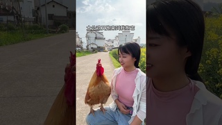 After walking out for less than two minutes, the big rooster came to me to hold it