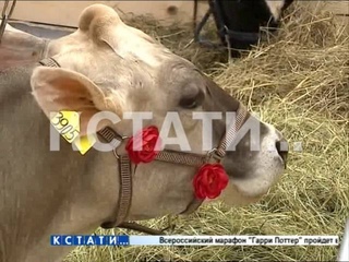 Опыт Нижегородской области по борьбе с АЧС распространят на всю Россию