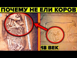 Почему на Руси до 18 века не ели говядину  Шокирующие факты о которых молчат историки