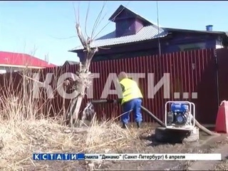 Плавающие утки в огороде - паводок пришёл в город