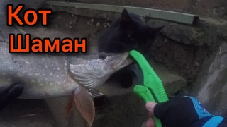 МИСТИЧЕСКАЯ РЫБАЛКА или ДЕЖАВЮ.ЛОВЛЯ ЩУКИ в ОКТЯБРЕ.