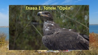 Тотем ОРЁЛ . Глава 1. Энциклопедия Всё о Шаманизме. Шаман - Сергей Попроцкий.