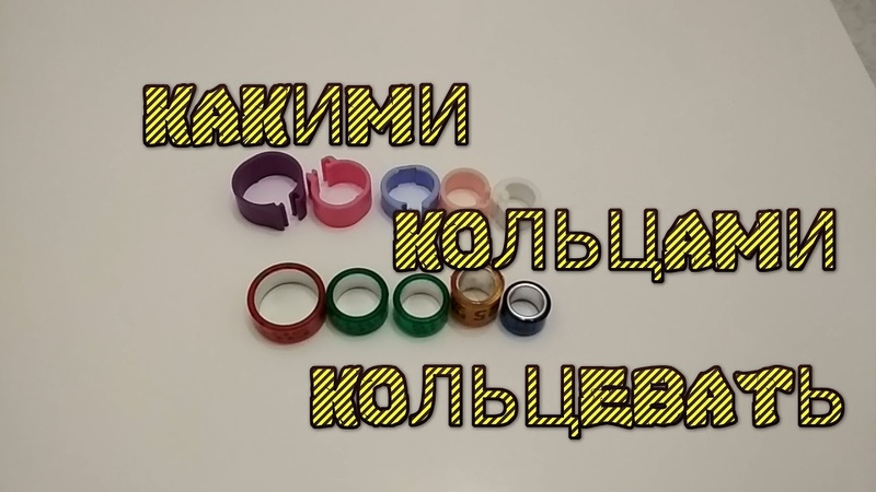 Рука с помолвочным кольцом. Примерка кольца. Брошенное кольцо обручальное. Кольцо на пальце. Кольцо нужно уничтожить.