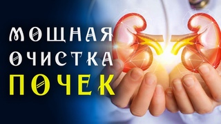 Очень редкая Матрица Гаряева для Очищения Почек  Квантовое исцеление звуком