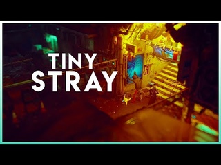Tiny Stray | Tilt Shift