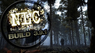 STALKER NLC 7 . Ищем караван с оружием и не только28