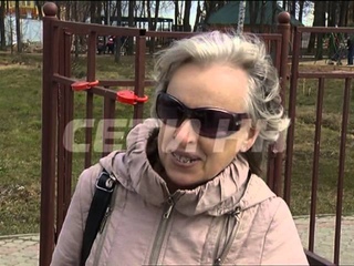 Лебедей вывели на прогулку