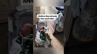funny stories about babies and dogs #pet #cat #dog #cute #animals #foryou #typ