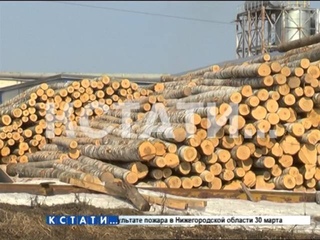 Смертельный труд - работника засосало в дробилку