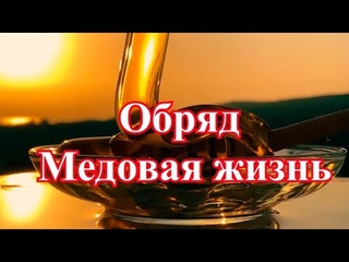 Ритуал с медом что б всем нравится. Спасы обычаи и традиции. Медовый спас фото. Продукты пчеловодства. Медовый спас освящение меда в церкви.