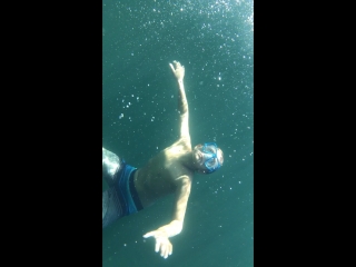 один мальчик нырнул на глубину. ныряльщик герберт ницш. погружение в воду. Vertical blue freediving. человек ныряет в воду.