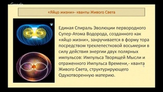 Голографические модули