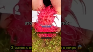 3 самых дорогих фрукта в мире  #развитие #успех #психология #саморазвитие #новости #shorts #рост