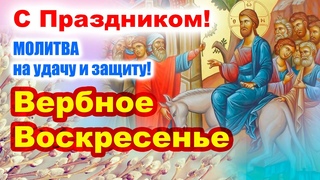 Вербное Воскресенье  праздник Входа Господня в Иерусалим САМАЯ СИЛЬНАЯ МОЛИТВА защита на год!