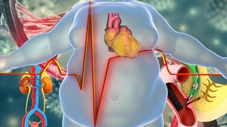 Extremely Powerful Fat Burn Frequency | 528 Hz + 432 Hz | Weight Loss Alpha Waves, Burn Fat Cells #3