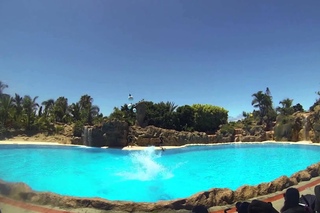 Loro Parque - Tenerife 2013