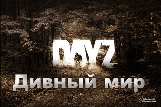 Поиграем в DayZ #1 - Дивный лаганный мир