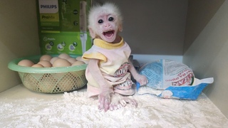 BiBu is super cute, covered in flour and wants to take a bath herself!