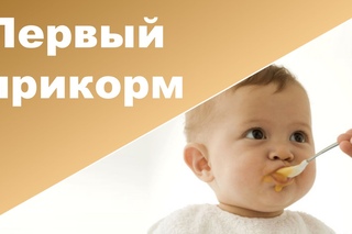 ПЕРВЫЙ ПРИКОРМ  НАЧАЛО ПРИКОРМА ребенка