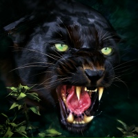 Миша Черкасов | Челябинск