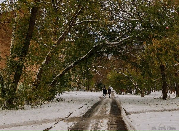 Photos at Бульвар Гоголя - Park