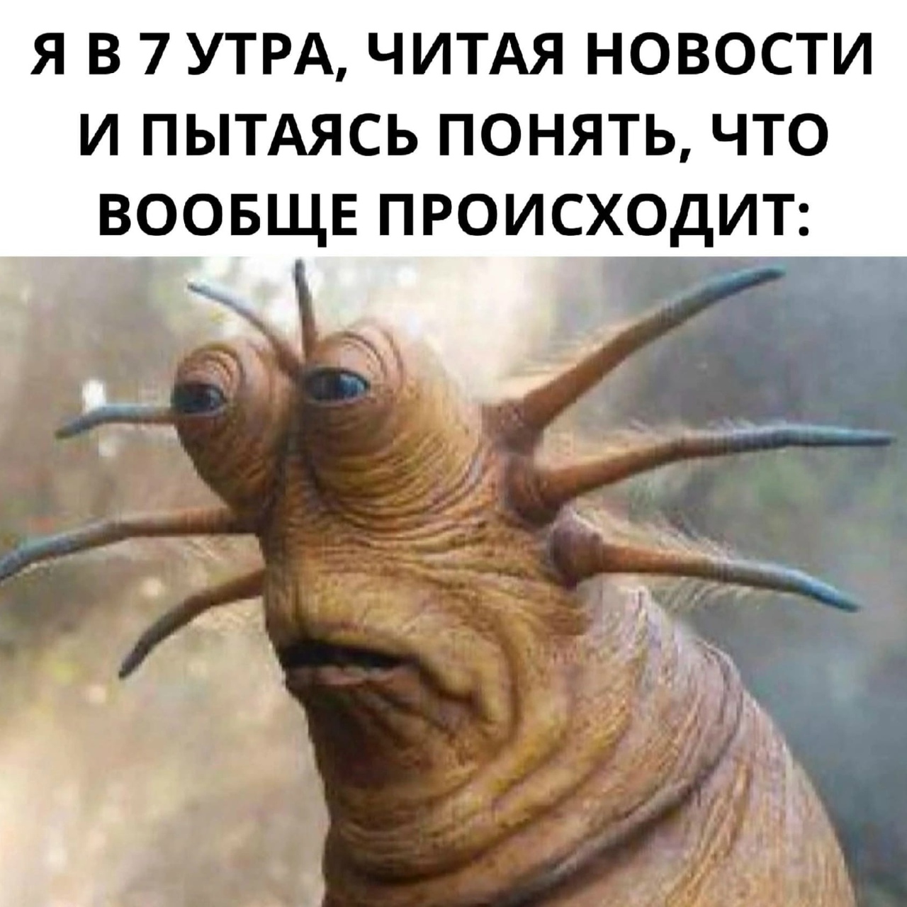 горбачев проснулся рано встал ускоренно с дивана