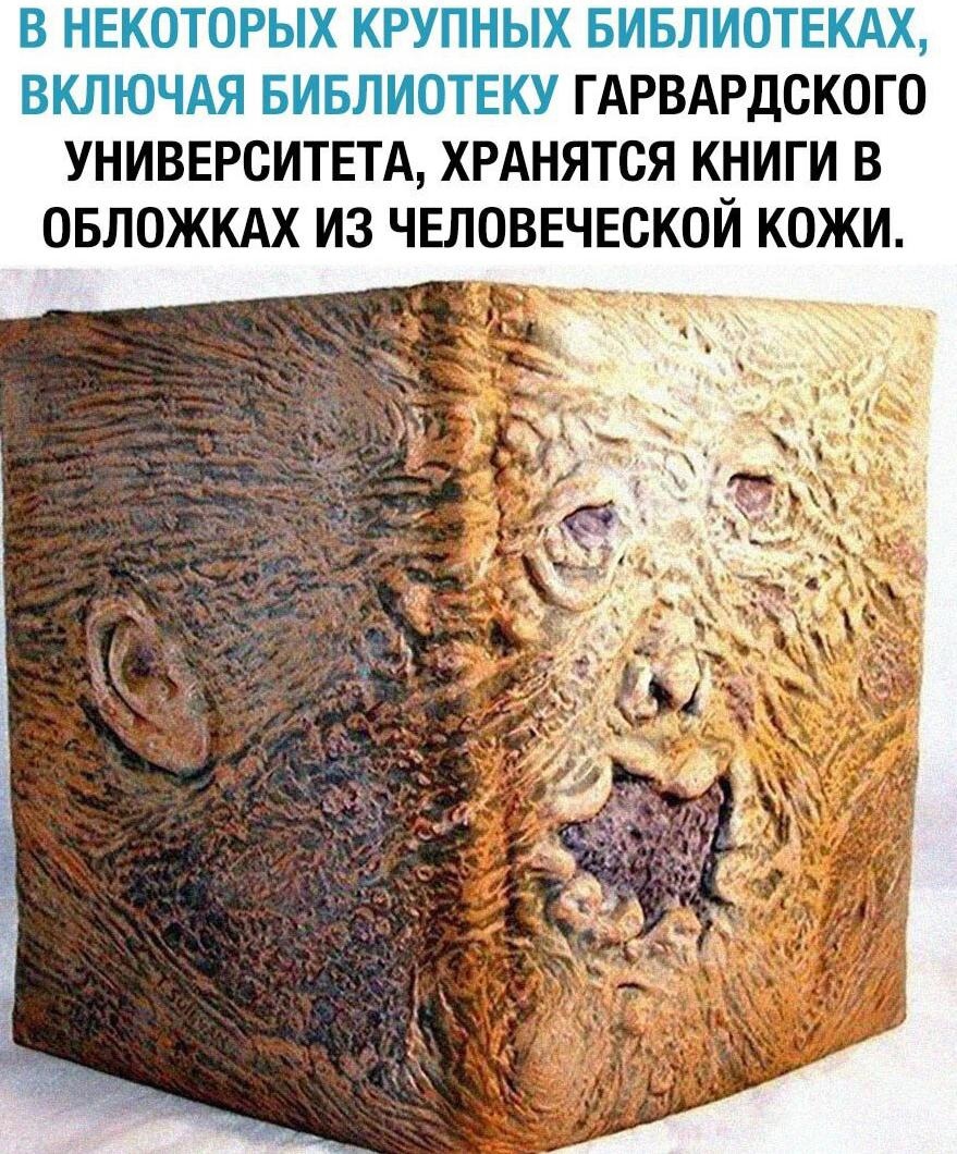 диван из человеческой кожи