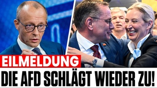 RECHTLICHE BOMBE! Gericht Stoppt Verfassungsschutz Im AfD Fall!