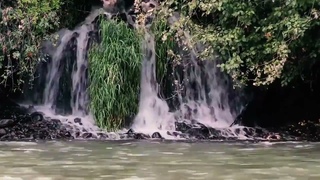 Travel and Tours at the Kawasan Falls-Philippines