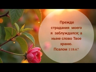 ВНОВЬ ОЧИЩАЕТСЯ ДУША...|| стихи христианские 🙏❤️