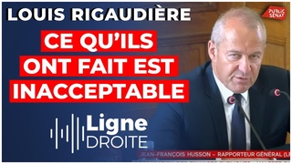La charge très inquiétante d’un sénateur contre Macron et Bruno Le Maire - Louis Rigaudière