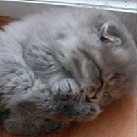 Оксана Лукашова