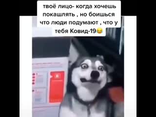 Даниил Грюнберг. Профиль пользователя на Авито