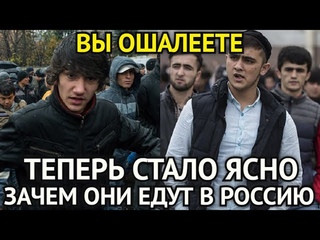 ВЫ ОШАЛЕЕТЕ! Теперь Стало Ясно Зачем Они Едут в Россию/Приезжая Выложила Планы Земляков На Россию...