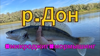 #микроджиг#мормышинг | ПОЙМАЛ ОГРОМНОГО СУДАКА |  р.ДОН