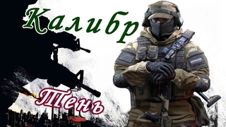 Калибр игра  Снайпер Тень | 22 СПН